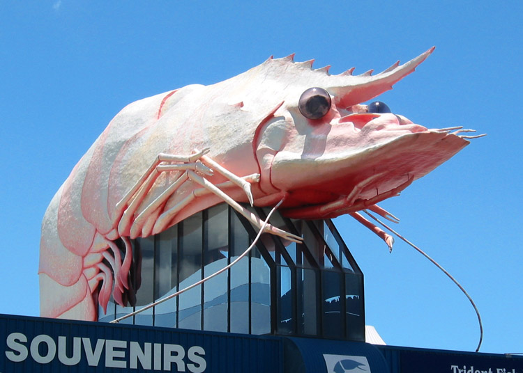 The Big Prawn Ballina